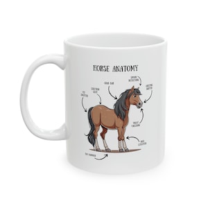 Anatomy of a Horse Ceramic Mug, 11oz - Gift for Horse Lover, Horse Mug