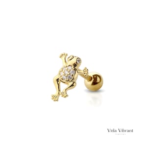 Boucle d'oreille dorée pour cartilage de rainette. Acier chirurgical 316L. Stud Helix/Tragus inspiré de la nature. Bijoux animaux. Piercing à l'arrière.