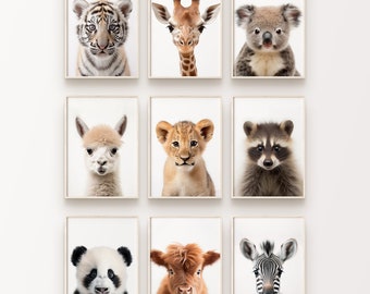 May include: A set of nine framed prints featuring adorable baby animals, including a tiger, giraffe, koala, alpaca, lion, raccoon, panda, highland cow, and zebra. Each print has a white background and features a close-up of the animal's face.
