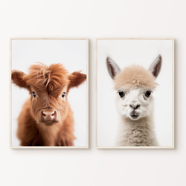Baby Animals Nursery Set of 2 Print, Printable Highland Cow Wall Art, Llama Photography, Kids Room Poster, Nursery Decor, Digital Download