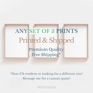 Printed Wall Art, Mailed Art Print, Set of 3 Fine Art Prints, Giclée Art Print, PRINTED and SHIPPED, Mailed Wall Art, Printing Service