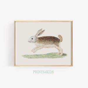 Vintage Nursery Wall Art, Vintage Hare Illustration, Animal Nursery Print, Kids Room Decor, Rabbit Art Print, PRINTABLE WALL ART