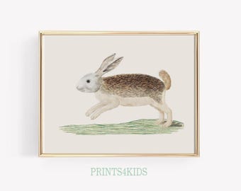 Vintage Nursery Wall Art, Vintage Hare Illustration, Animal Nursery Print, Kids Room Decor, Rabbit Art Print, PRINTABLE WALL ART