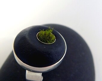 Set in Stone, Moss Ring