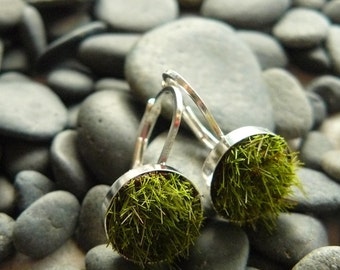 Gather Moss Earrings, Medium