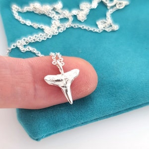 Silver Shark Tooth Necklace, petite silver charm necklace, sterling silver beach necklace