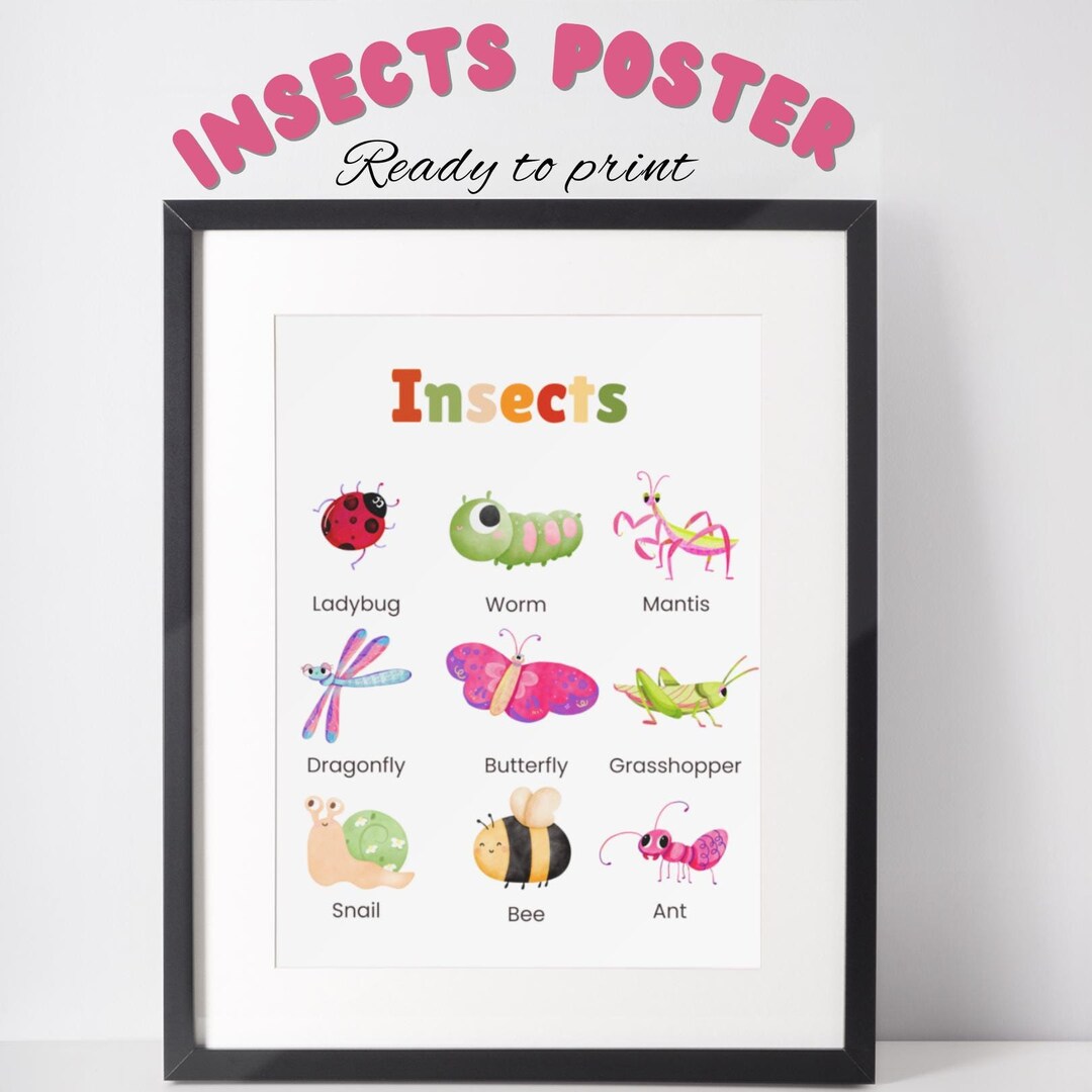 9 Insects Flashcards, Decorative Insect, Colorful Insect, Insect Patch ...