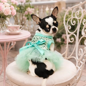 Mint Tulle Dog Dress, Sequin Puppy Outfit, Satin Bow Pet Clothes for Small Dogs, Princess Birthday Party Dress, Cute Pet Photo Prop and Gift