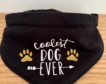 Bufanda para mascotas/perros/mascota/regalo/bricolaje/trazado/bufanda