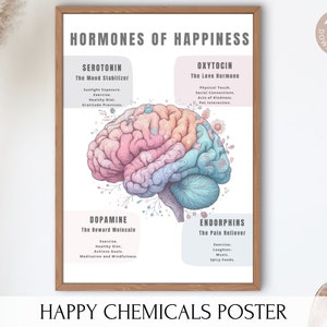 May include: A printable poster with a colorful illustration of a brain and text that reads "Hormones of Happiness". The poster lists four hormones: Serotonin, Oxytocin, Dopamine, and Endorphins, and describes each hormone's function and how to increase its production. The poster also includes the text "Happy Chemicals Poster".