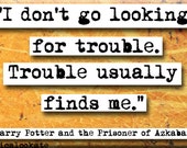 Harry Potter Trouble Magnet or Pocket Mirror (no.461)