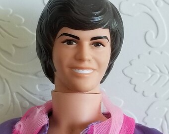 donny and marie porcelain dolls