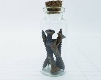 Rusty Screw Collection: Assemblage Art Curiosities in Corked Jar