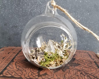 Quartz Forestcore Scene, Glass Globe, Moss Assemblage, Cottagecore Display,  Collection of Curiosities