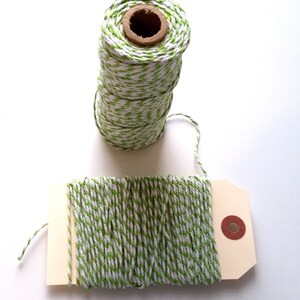 Green & White 12 Ply Bakers Twine - 10 Yards for packaging, artwork, collage, assemblage Valentines Day Decor