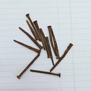Peut inclure: Une collection de onze clous en métal individuels avec une finition brun foncé, oxydée et rouillée. Chaque clou présente une tête plate et circulaire ainsi qu'une tige pointue et effilée, disposés en un motif dispersé et superposé.