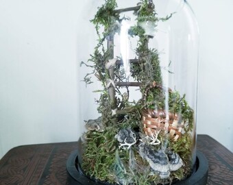 Woodsy Cloche, Forestcore Scene, Twig Ladder, Moss Assemblage, Cottagecore Display,  Collection of Curiosities