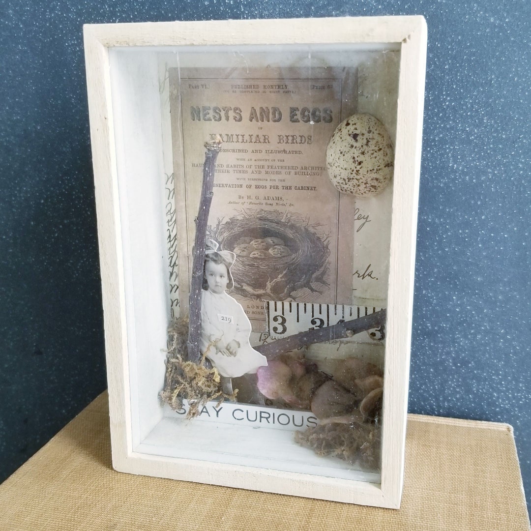 Stay Curious Shadow Box- Girl- Nature Collection- Moss Assemblage- Art ...