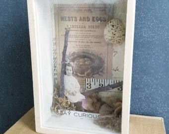 Stay Curious Shadow Box- Girl- Nature Collection-  Moss Assemblage- Art Box- Vintage Paper Artwork