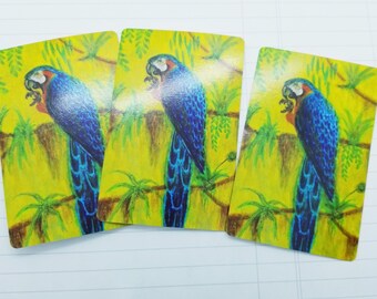 Vintage Parrot bird Cards- Pkg of 6 Collage Assemblage Supplies Flea Markets