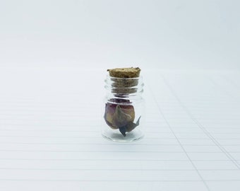 Mini Dried Rosebud in Corked Glass Jar - Cabinet of Curiosities