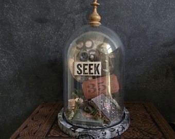 Seek Cloche, Forestcore Assemblage, Cottagecore Display,  Collection of Curiosities
