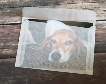 20 Glassine Translucent Envelope, Packaging, Scrapbook Insert, 4.125" x 6.25", 4x6 Envelope, Craft Supply