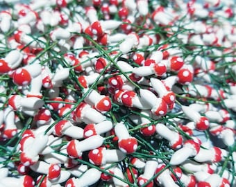 Mini Vintage Plaster Mushrooms- Double Ends,Red and White, Collage supplies