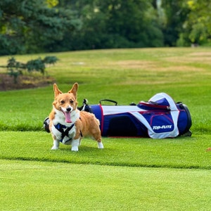 The Corgi Caddy Cute Ball Marker Golf Gift, Golf Accessory, Dog Golf, Golf Ball Marker image 5