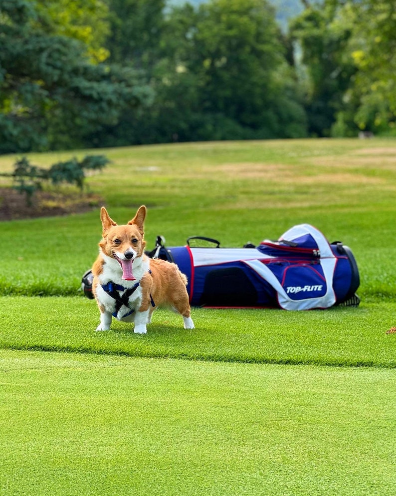 The Corgi Caddy Cute Ball Marker Golf Gift, Golf Accessory, Dog Golf, Golf Ball Marker image 5