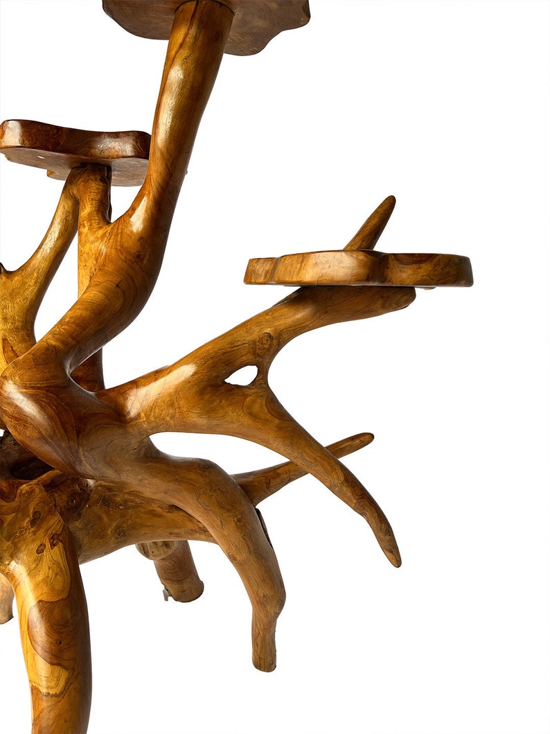 Teak Root Plant Stand - Large Size - Etsy