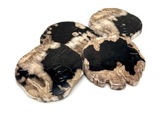 Puede incluir: Cuatro posavasos de madera petrificada en negro, beige y crema. Los posavasos tienen una forma natural y orgánica, con patrones de vetas de madera visibles. Están dispuestos sobre un fondo blanco.