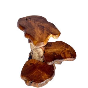 26" Natural Teak Root Plant Stand - Etsy