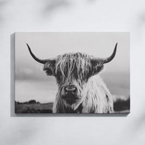 Highland Cow Canvas Print, Highland Cow Canvas Wall Hanging, Farmhouse Wall Decor, Living Room Wall Art, Animal Wall Decor, Trendy Wall Art