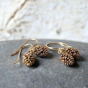 May include: A pair of gold-toned earrings featuring a small, detailed pine cone design. The earrings are dangle style with a hook closure.