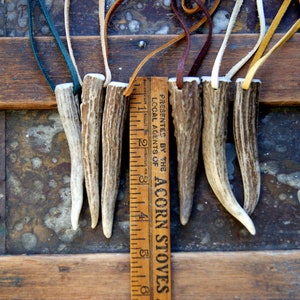 Large Deer Antler Pendant Necklace with Buckskin Lace Cord, Choose Antler at Checkout