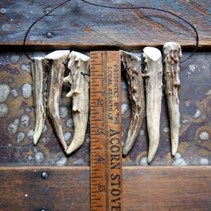 Gnarly Deer Antler Necklace with Suede Leather Cord OR Faux Leather, Choose Antler Tip and Cord at Checkout