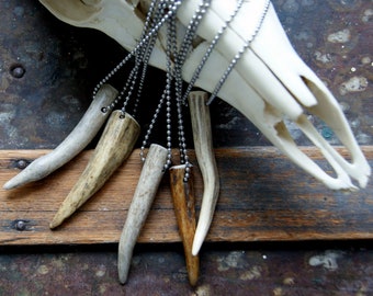 Antler Tip Necklace with Stainless Steel Ball Chain, Choose between 1.5mm or 2.4mm chain