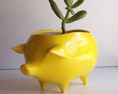 Pig Planter Succulent Planter Ceramic Planter Vintage Design Lemon Yellow, Retro, Sponge Holder Kitchen Home Decor Garden Cactus pot