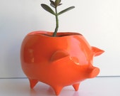 Ceramic Pig Planter Vintage Design in Orange Succulent Herb Pot Retro Modern Home Decor Piggy ceramic Container Succulent Planter Minimalist
