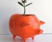 Ceramic Pig Planter Vintage Design in Orange Succulent Herb Pot Retro Modern Home Decor Piggy ceramic Container Succulent Planter Minimalist