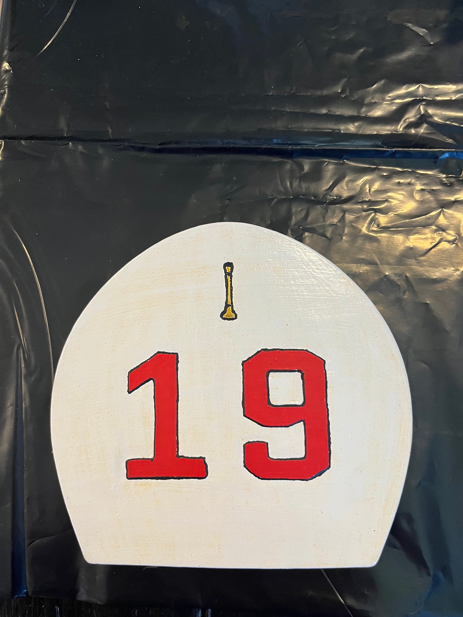 Boston Helmet Shield - Etsy