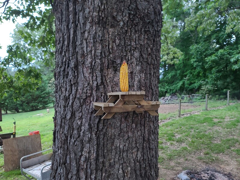 May include: A wooden miniature picnic table is attached to a tree trunk, with an ear of corn placed on top. The tree's bark is rough and brown. The background shows a grassy area and trees.