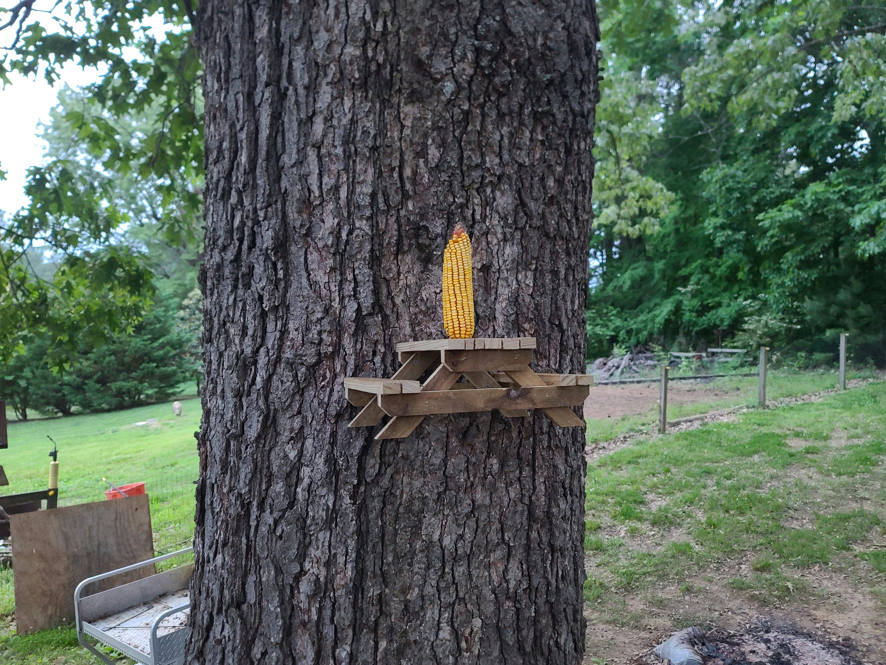 Rustic Picnic Table Squirrel Feeder