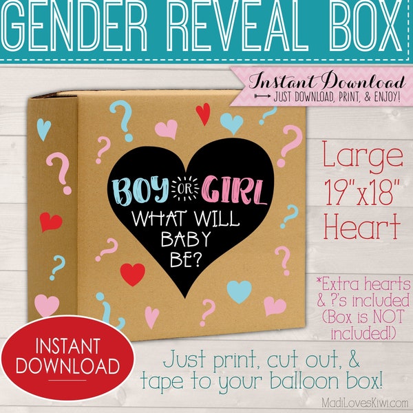 Gender Reveal Box - Etsy