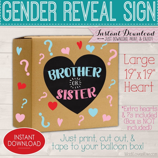 Brother or Sister Gender Reveal Balloon Box Sign, Digital Pink Blue Party Decor, Girl Boy Baby Decorations, Chalkboard Printable Prop Ideas