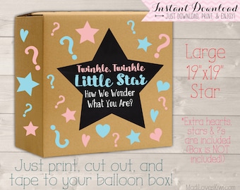 Twinkle Twinkle Little Star Gender Reveal Box Sign, Party Balloon Decor Ideas, Chalkboard Printable Pink Blue Decorations Girl Boy Release