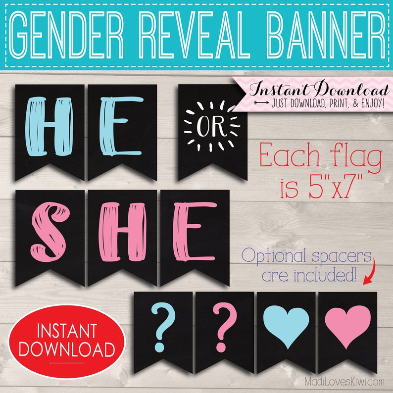 He She Gender Reveal Bunting Printable Party Banner Digital Etsy