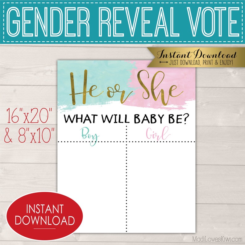 He or She Gender Reveal Party Voting Board Printable Vote | Etsy