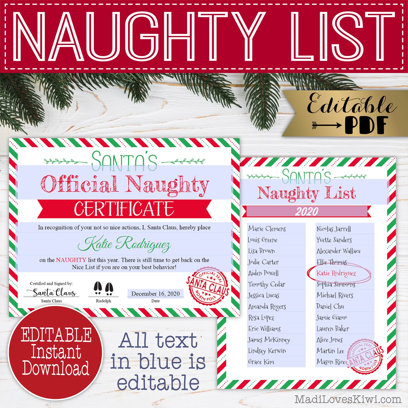 Printable Santa's Naughty List Certificate Editable | Etsy